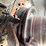 #24067-•-1994-buick-roadmaster-passenger-car-image-23