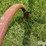 chisel-plow-image-12