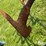 wil-rich-field-cultivator-image-14