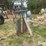 manual-head-catch-image-8
