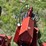 2015-case-ih-1265-image-60