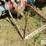 ford-9n-image-9