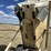 2005-terex-ta30-image-50