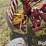 new-holland-456-image-9