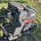 brandt-635-image-20