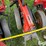 case-ih-955-image-16