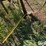 john-deere-2-image-14