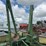 john-deere-7000-image-4