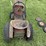 1950s-garden-all-pup-image-3