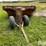 eversman-650-image-2