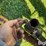 hutchinson-6241-grain-auger-image-11