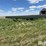 lorenz-13x33-image-5