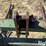 shop-built-3-pt-bale-sled/spear-image-9