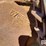 john-deere-25-image-12