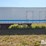 1999-kidron-reefer-image-4
