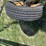 brandt-635-image-8