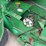 john-deere-469-image-35