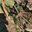 john-deere-2-image-13