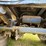 1985-polar-tank-image-14