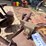#24071-•-two-bottom-moldboard-plow-image-7