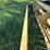 new-holland-490-image-13