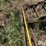 john-deere-6-image-9