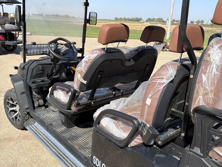 2025-sd-lanch-electric-golf-cart-image-20