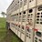 2001-wilson-livestock-trailer-image-26