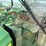 2016-john-deere-r4038-image-100