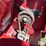 case-ih-3412-image-20