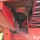 new-holland-851-image-17