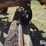 1968-caterpillar-12f-image-17