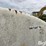1000-gallon-tank-on-running-gear-image-17