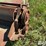 john-deere-5830-image-10