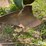 john-deere-on-land-plow-image-16