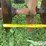 bush-hog-1445-image-14