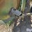 john-deere-896-image-14