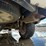 2008-jeep-liberty-image-11