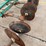houle-8-image-7