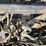 2003-kenworth-t800-image-72