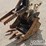 bobcat-325-image-13