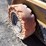 2006-caterpillar-216b-image-36