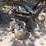 grill-unknown-image-2