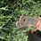 new-holland-490-image-17