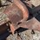 allis-chalmers-9-image-12