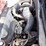 2005-international-durastar-4200-image-27