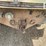 2000-kenworth-t800-image-20