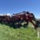 2015-case-ih-1265-image-1