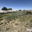 aermotor-windmill-image-5