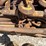 pallet-of-straps-&-binders-image-17